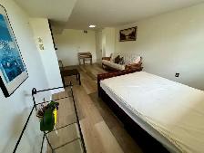 Furnished large bright room Single male $920 m all utilities - Photo 4