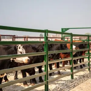 Livestock Items