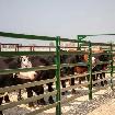 Livestock Items
