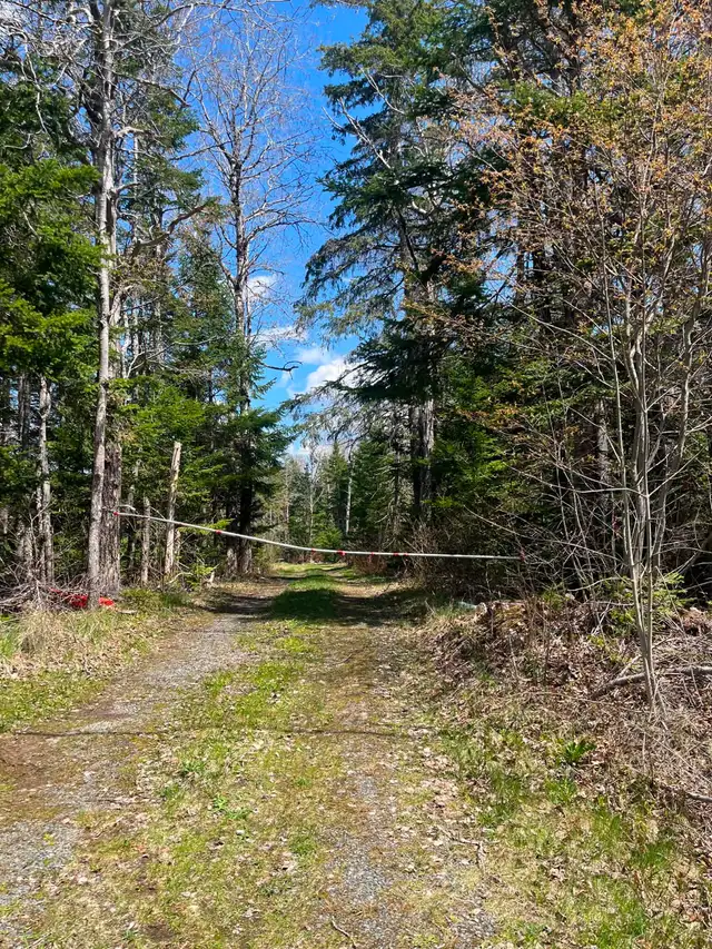 Land for sale in Orangedale