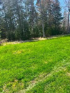 Land for sale in Orangedale - Photo 4