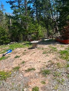 Land for sale in Orangedale - Photo 5