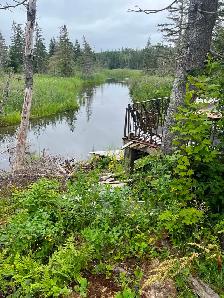 Land for sale in Orangedale - Photo 8
