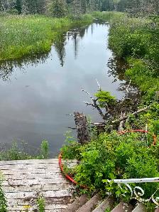 Land for sale in Orangedale - Photo 9