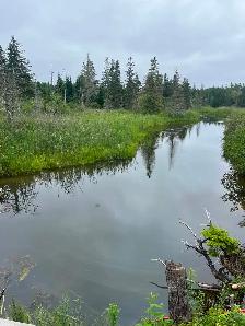 Land for sale in Orangedale - Photo 10