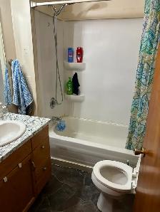 House for rent Selkirk Mb - Photo 4