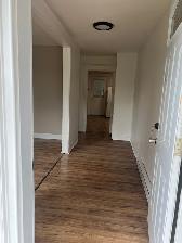 Down Town  1BD Apt for Rent $1100.00 - Photo 2