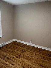 Down Town  1BD Apt for Rent $1100.00 - Photo 7