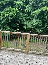 Down Town  1BD Apt for Rent $1100.00 - Photo 13