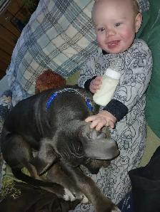 dog in need of a good home - Photo 8