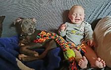 dog in need of a good home - Photo 10