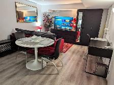 PRIVATE FURNISHED APARTMENT NORTH YORK - Photo 7