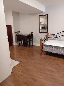 $1250 BASEMENT BACHELOR FOR RENT, YONGE/STEELS, UTILITIES INCLUD - Photo 2