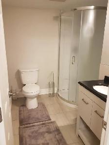 $1250 BASEMENT BACHELOR FOR RENT, YONGE/STEELS, UTILITIES INCLUD - Photo 5