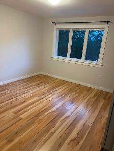 Luxury 4 BedroomEstate, Schwartzwald Subdivision, Fall River - Photo 10
