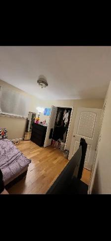 Room Near Seneca College | Finch & Victoria Park | Females Only - Photo 2