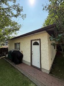 Stucco Plasterer / Spreader