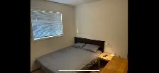 Short Term Room for Rent: upper floor, quiet, clean, safe - Photo 2