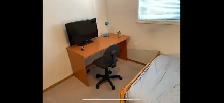 Short Term Room for Rent: upper floor, quiet, clean, safe - Photo 8