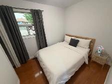 Bright & Affordable 1-Bedroom Apartment – Finch & Victoria Park - Photo 4
