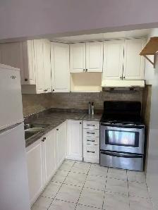 Bright & Affordable 1-Bedroom Apartment – Finch & Victoria Park - Photo 6
