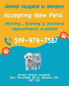 Pet Vaccines @$99 tax,ends August 31/2026 - Photo 2