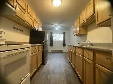 Large New Renovated 2 Bedroom Apartment Suite For Rent Brandon - Photo 2
