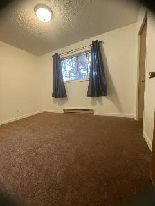 Large New Renovated 2 Bedroom Apartment Suite For Rent Brandon - Photo 3