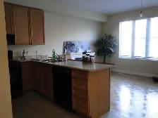 Student Room for Rent at York University Keele campus - Photo 4