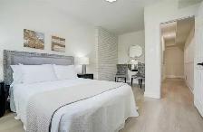 2 bedroom 1 bathroom basement for rent separate entrance - Photo 5
