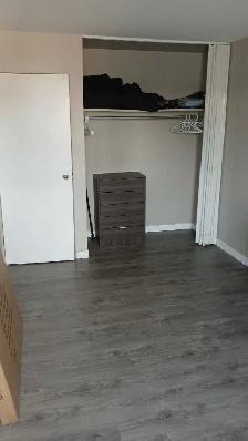 Room for rent $450