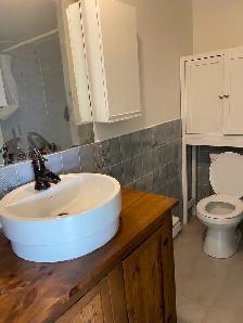 big 4 1/2 ，2 bedroom，