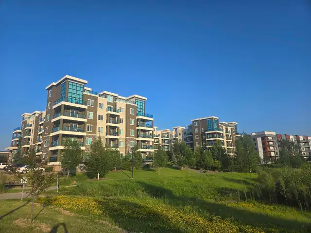 Windermere Apartment For Rent