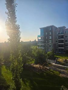 Windermere Apartment For Rent - Photo 2