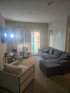 Windermere Apartment For Rent - Photo 3