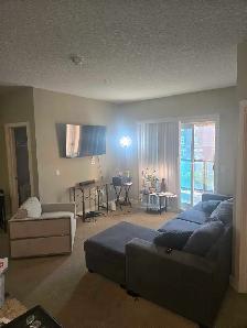 Windermere Apartment For Rent - Photo 4