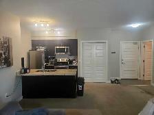 Windermere Apartment For Rent - Photo 5