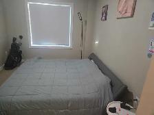 Windermere Apartment For Rent - Photo 8