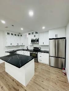 Basment For Lease ( BRAND NEW ) ALL INCLUSIVE - Photo 3