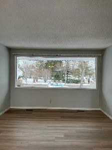 Bright & Beautiful 4  Bedroom 2 Bath Bungalow AMAZING Location! - Photo 3