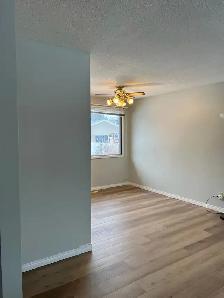 Bright & Beautiful 4  Bedroom 2 Bath Bungalow AMAZING Location! - Photo 4