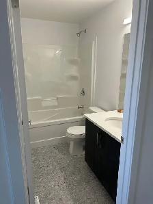 BRAND NEW HOME FOR RENT - Highland Pointe, Winnipeg - Photo 2
