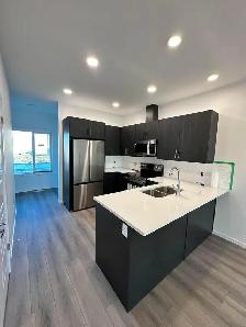 BRAND NEW HOME FOR RENT - Highland Pointe, Winnipeg - Photo 8