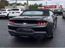 2024 Ford Mustang ECOBOOST PREMIUM CUIR DÉCAPOTABLE CAMÉRA RECUL - Photo 5