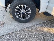 2019 Ford F-150 XL 4WD SuperCrew 5.5' Box - Photo 14