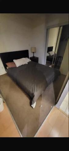 Scarborough warden and Lawrence rooms for rent