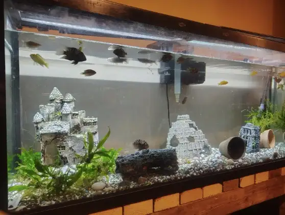 AQUARIUMS FOR SALE