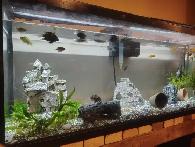 AQUARIUMS FOR SALE