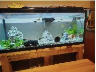 AQUARIUMS FOR SALE - Photo 2