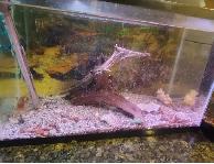 AQUARIUMS FOR SALE - Photo 3